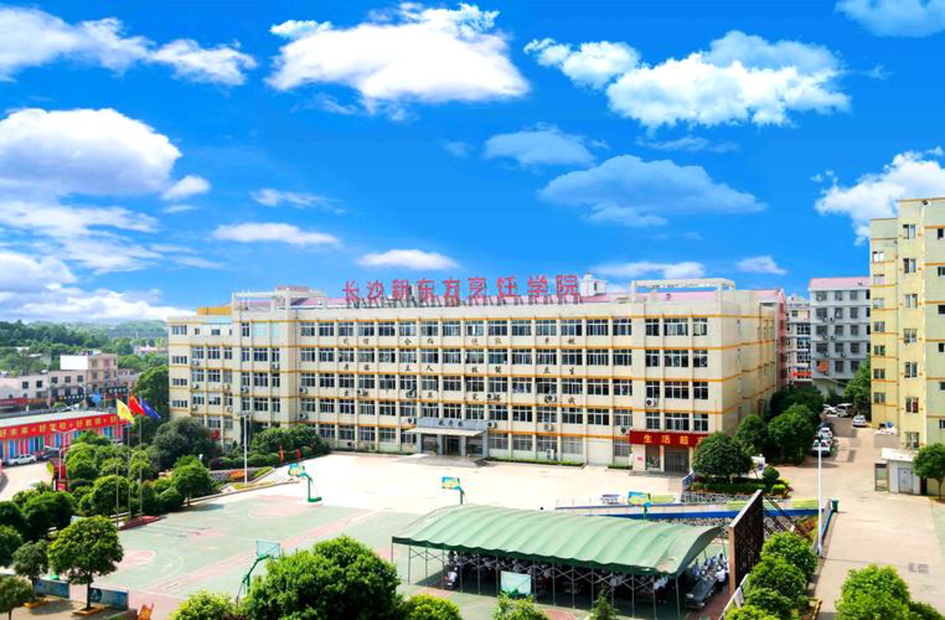 湖南新东方教育